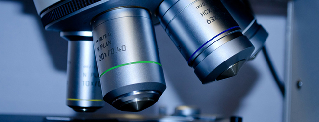 Будет доказано, что коронавирус вывели искусственно